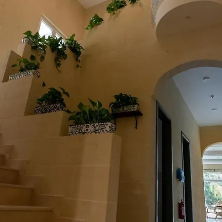 Bed & Breakfast The Carob Tree